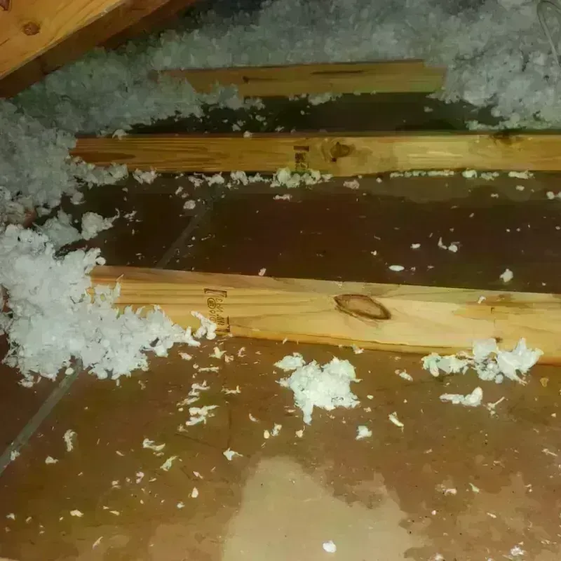 Attic Water Damage in Stowell, TX